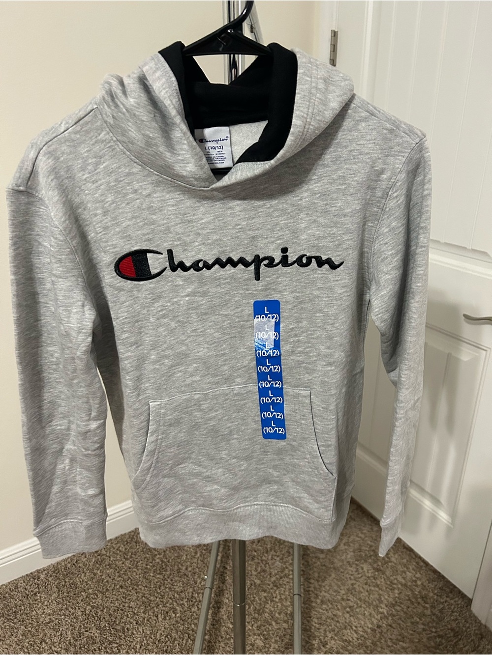 Champion Youth Heather Gray Hoodie with Black Script and Red Accent
